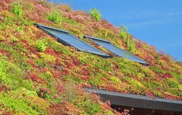 Snagshall living roof systems